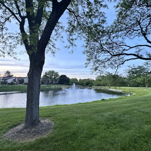 12 Kent Court, Willowbrook, IL 60527