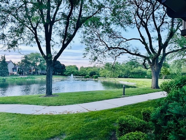 12 Kent Court, Willowbrook, IL 60527