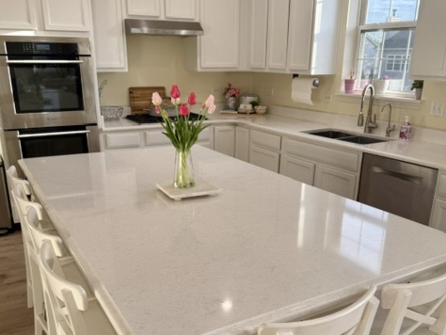 2371 BLUEWATER Drive, Wauconda, IL 60084