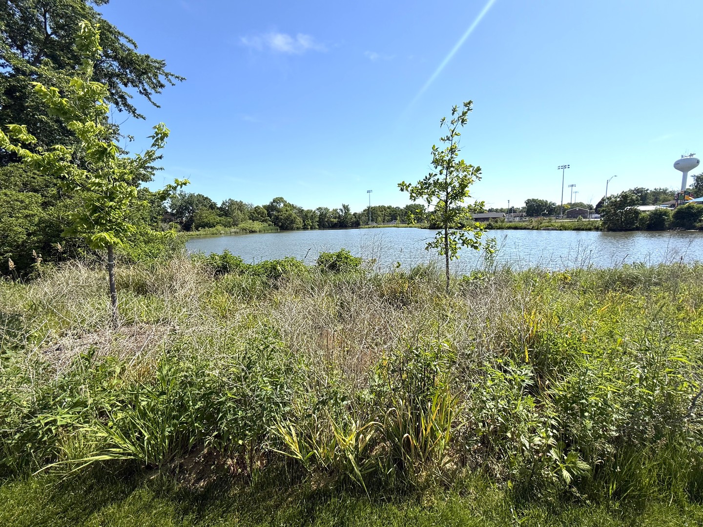 8733 Golfview Drive, Orland Park, IL 60462