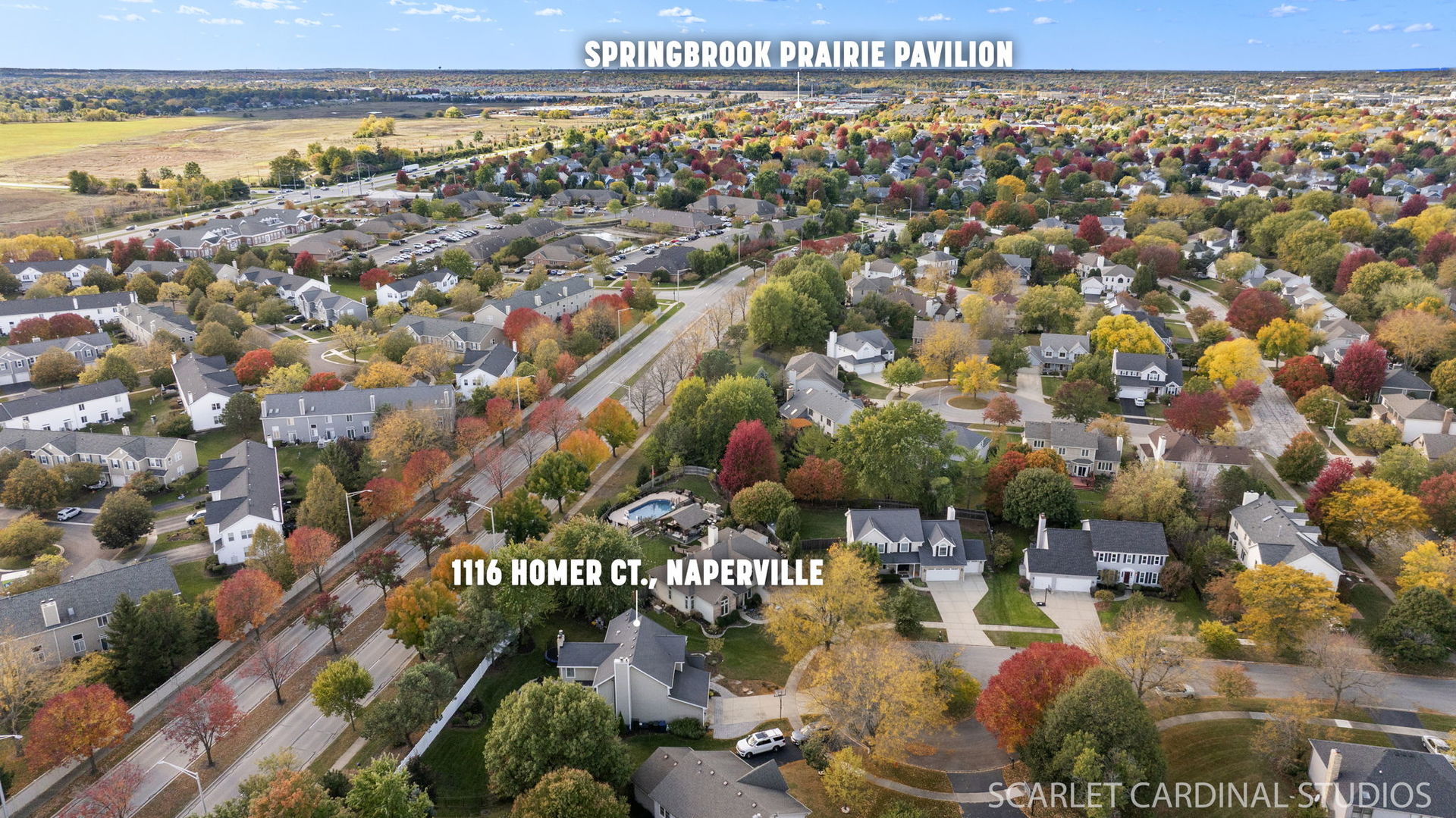 1116 Homer Court, Naperville, IL 60540