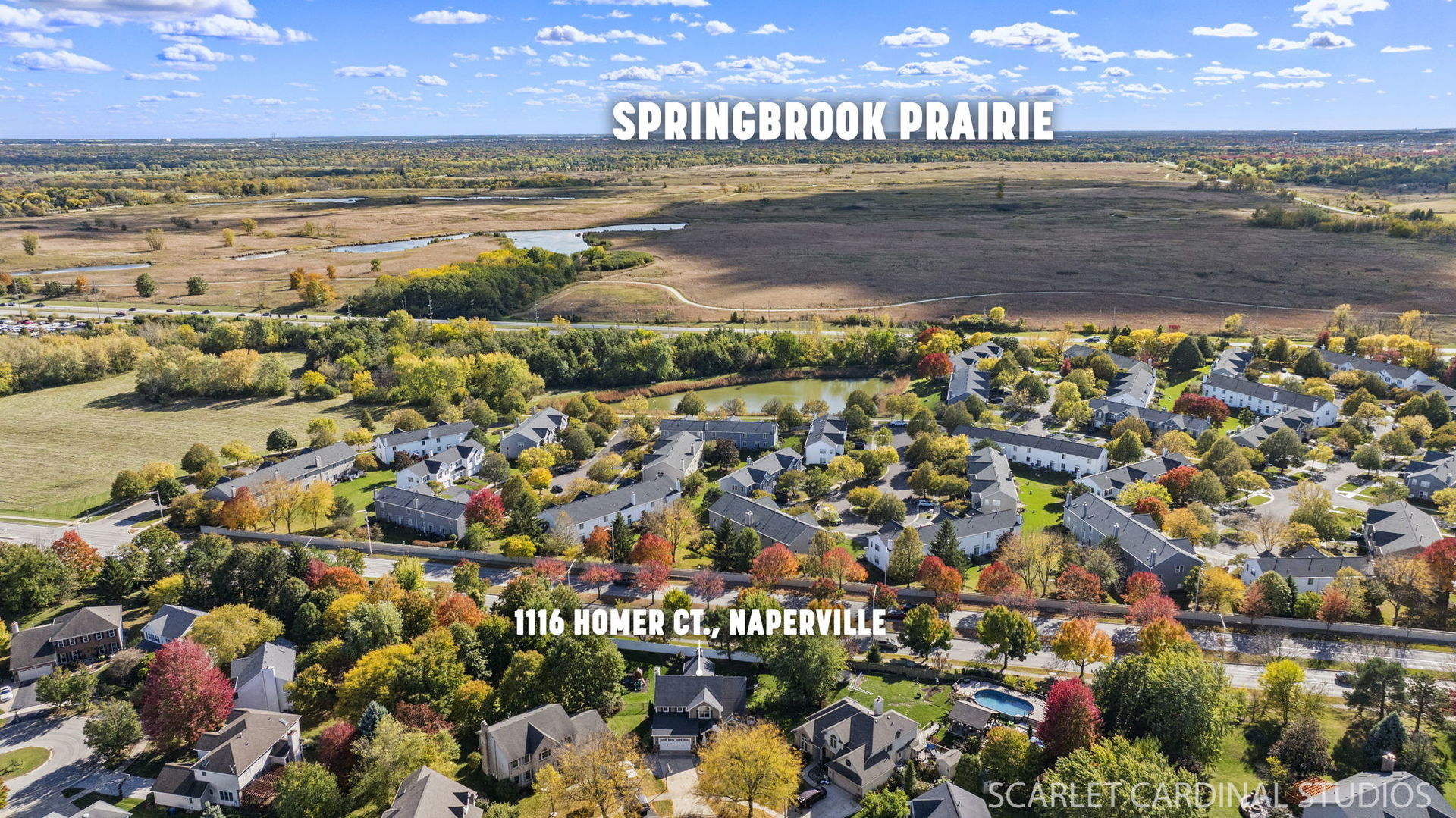 1116 Homer Court, Naperville, IL 60540
