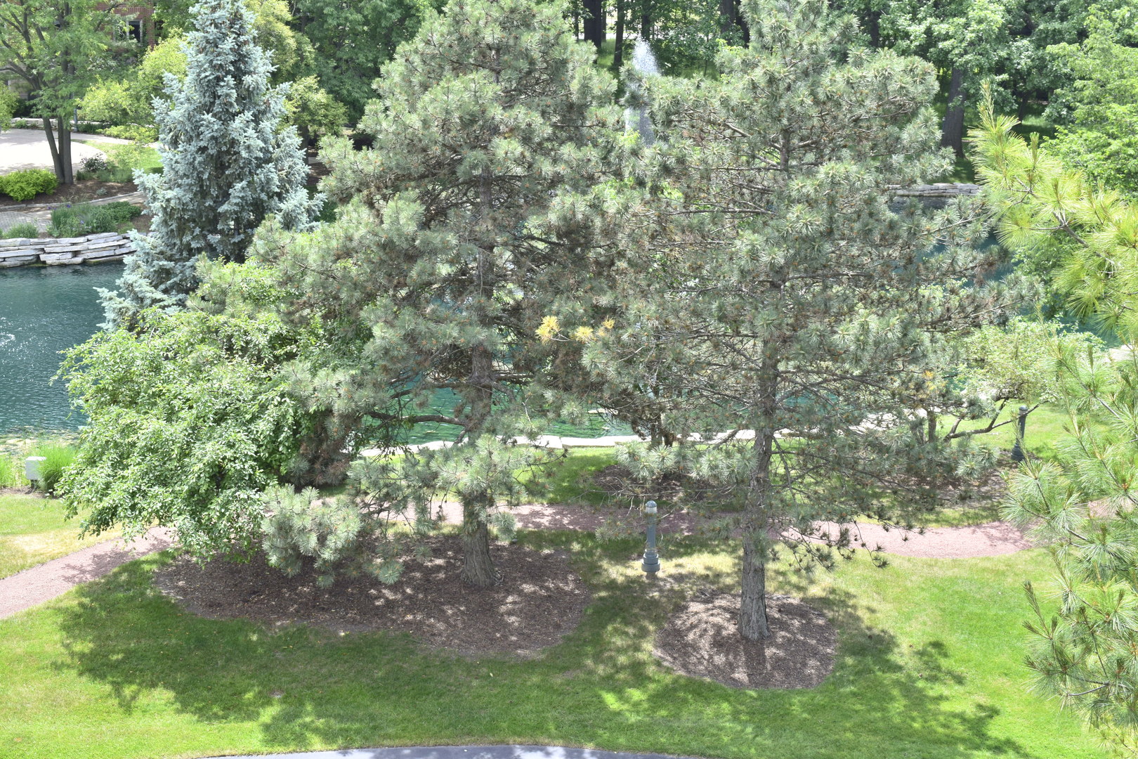 3940 W Bryn Mawr Avenue #402, Chicago, IL 60659