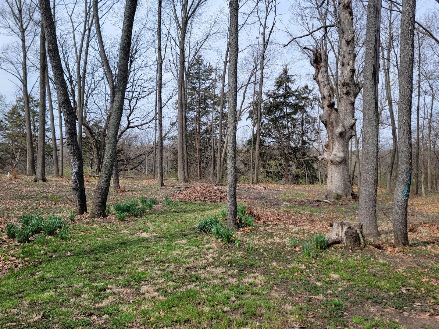 4615 E 2619th Road, Sandwich, IL 60548