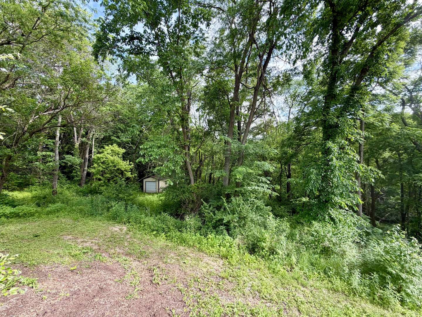 34554 1375 North Avenue, Spring Valley, IL 61362