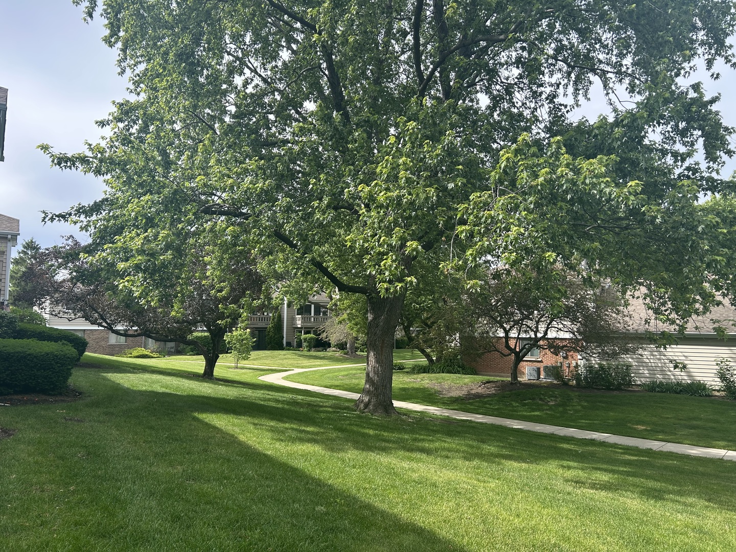 93 Lambert Drive #C2, Schaumburg, IL 60193