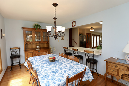 9 Honey Lane, New Lenox, IL 60451