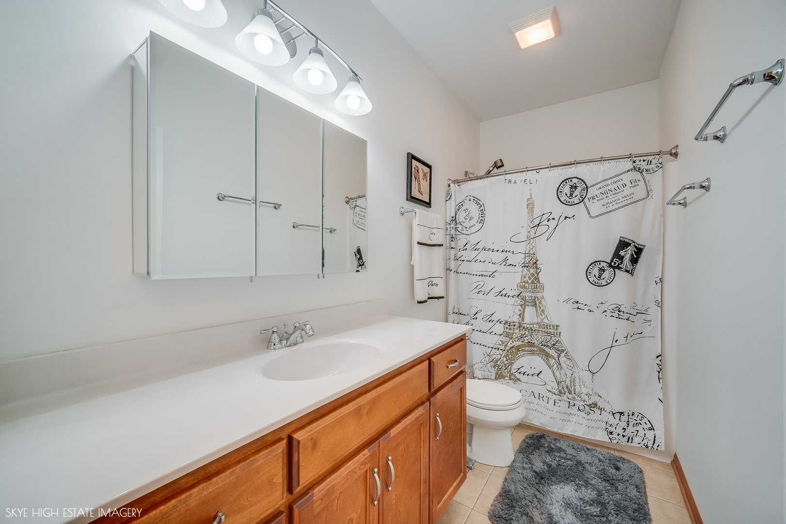 27219 Deer Hollow Lane, Channahon, IL 60410