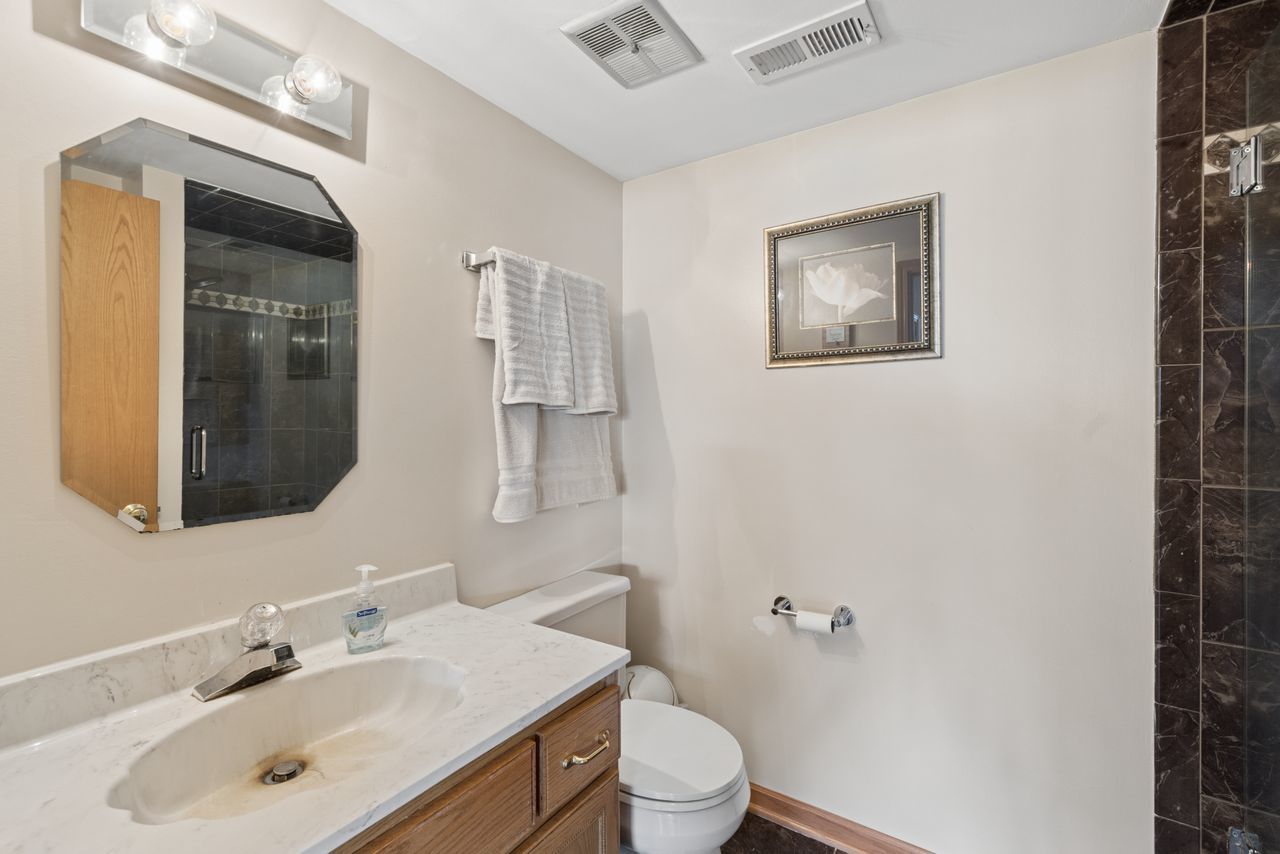 17218 Shetland Drive, Tinley Park, IL 60487