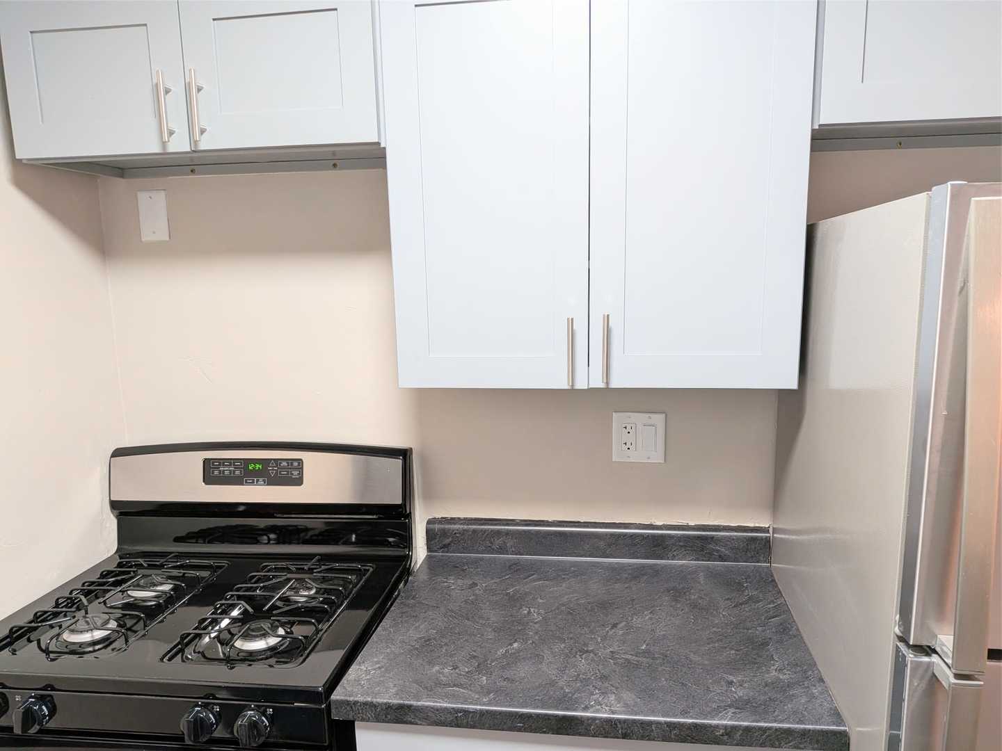 16B E DUNDEE QUARTER Street #102, Palatine, IL 60074