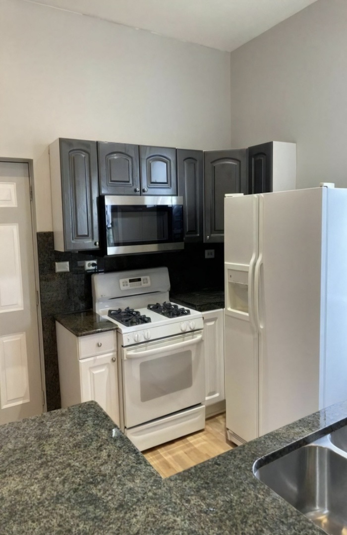 4321 S Ellis Avenue #2, Chicago, IL 60653