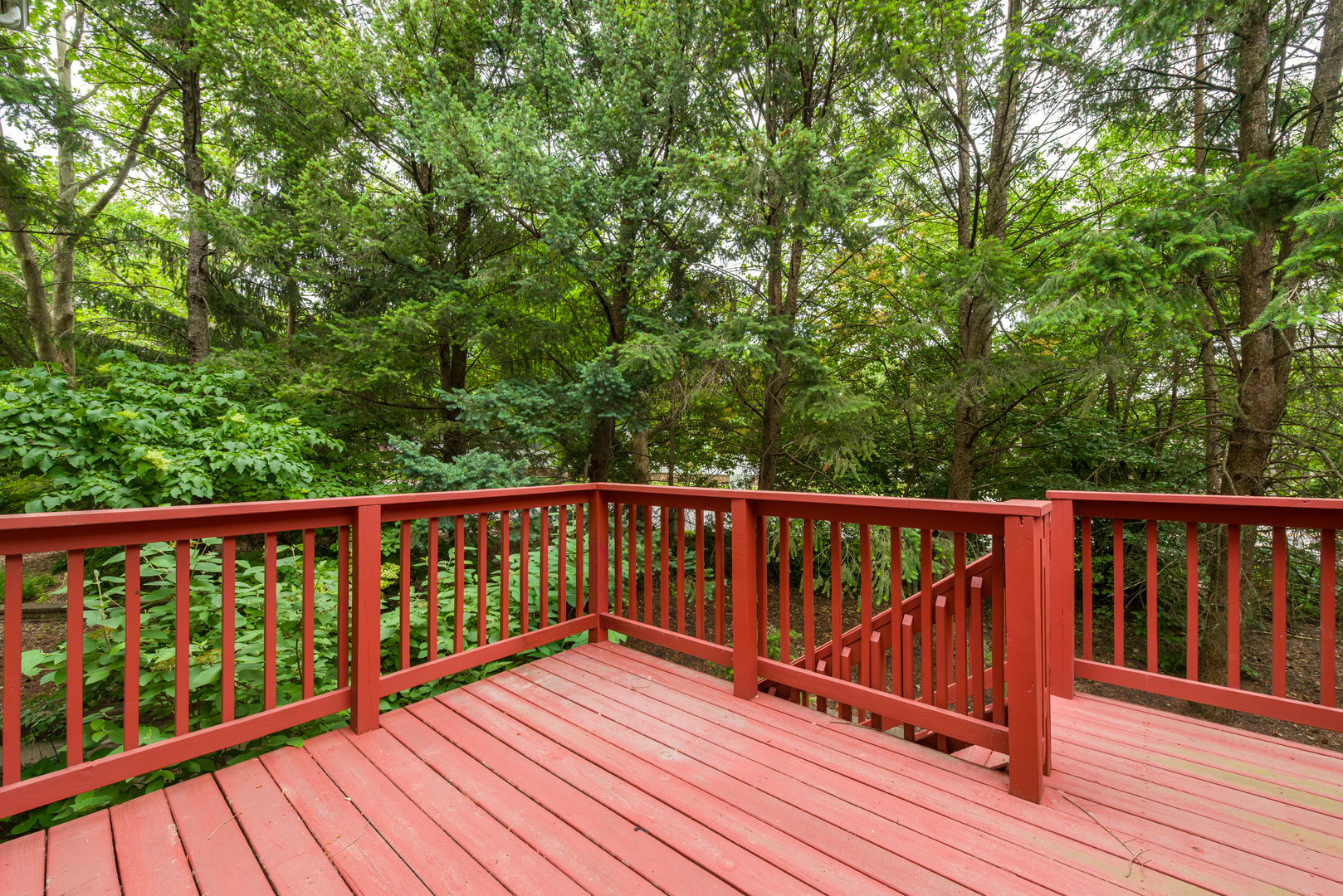 1572 Treeline Court, Naperville, IL 60565