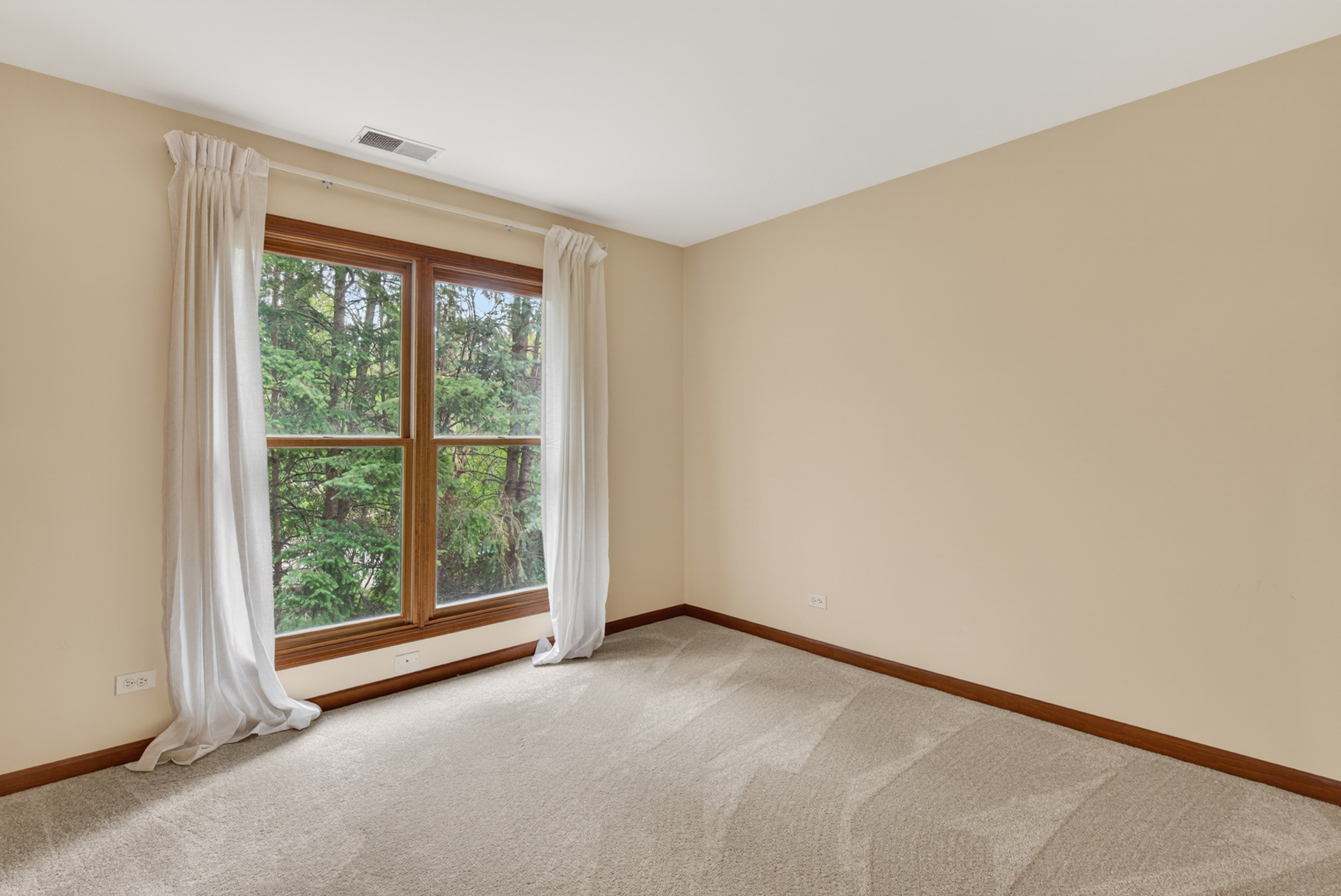1572 Treeline Court, Naperville, IL 60565