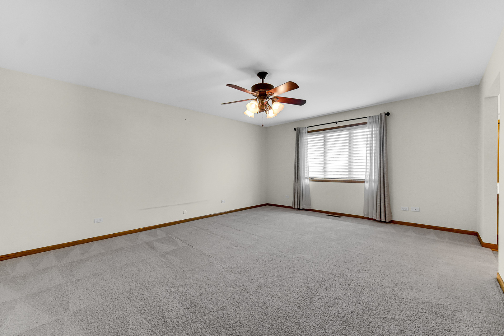 21147 Hunter Woods Drive, Frankfort, IL 60423