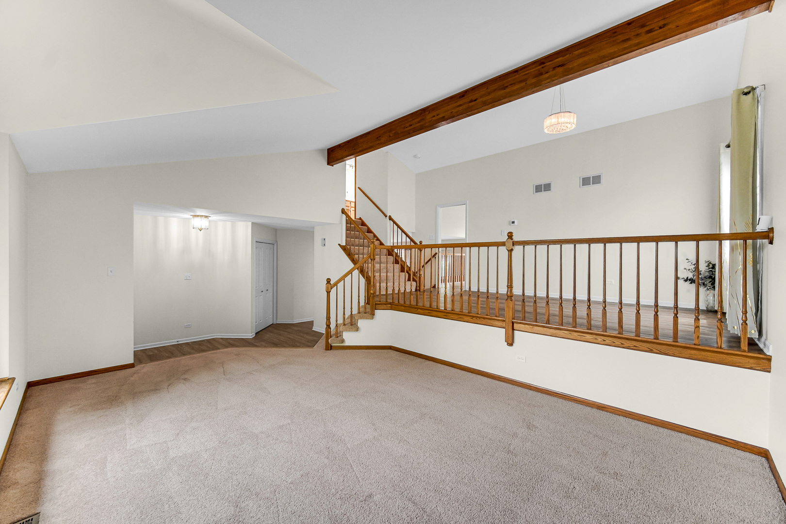 21147 Hunter Woods Drive, Frankfort, IL 60423