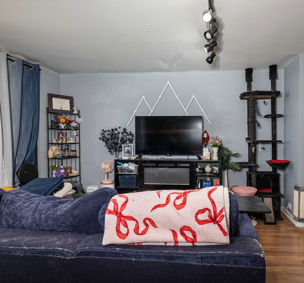 3001 S Michigan Avenue #1006, Chicago, IL 60616