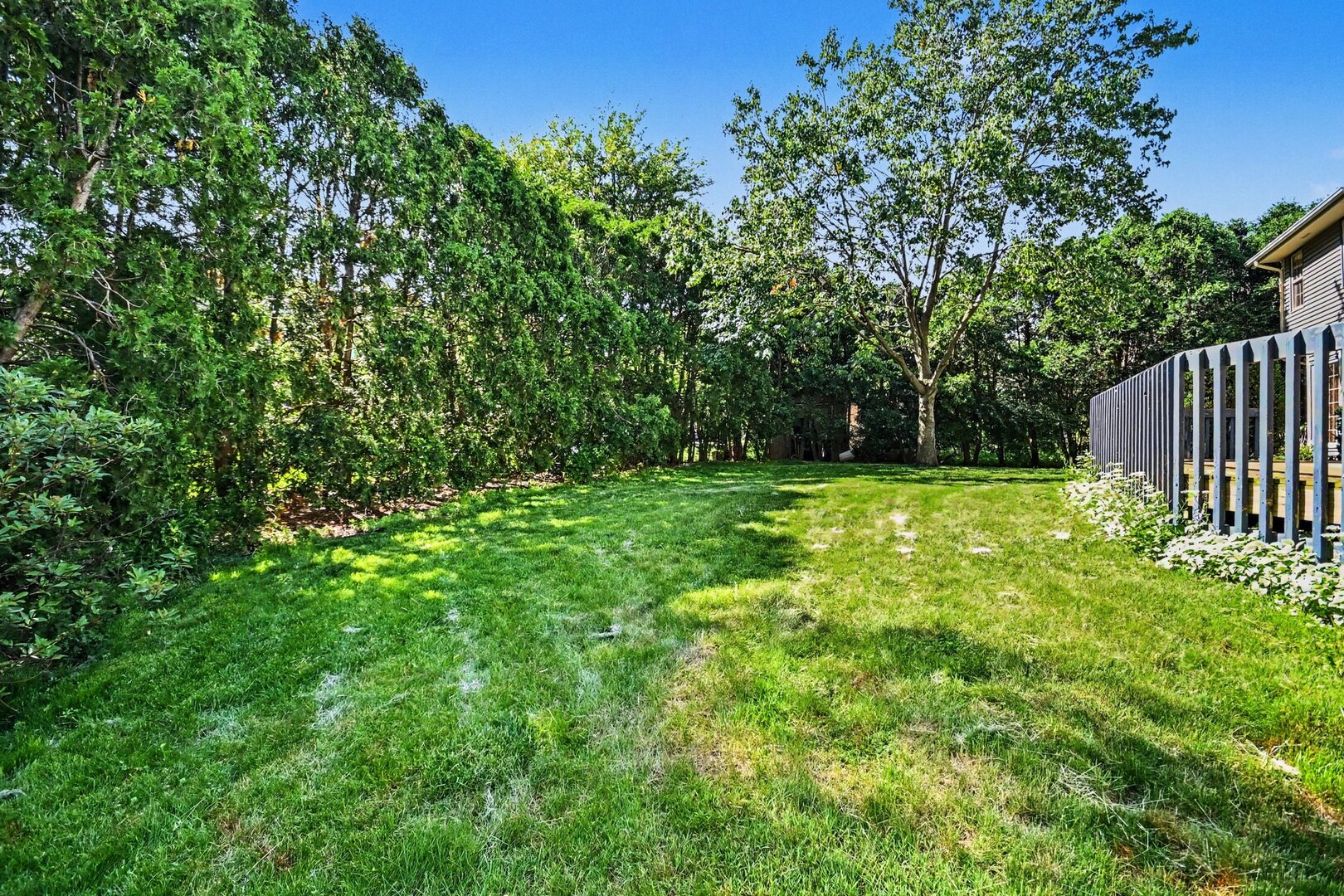 7221 Webster Street, Downers Grove, IL 60516