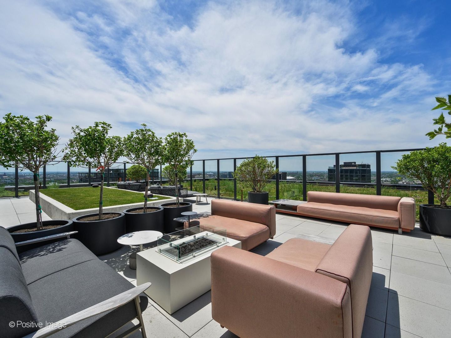 225 N Elizabeth Street #2502, Chicago, IL 60607