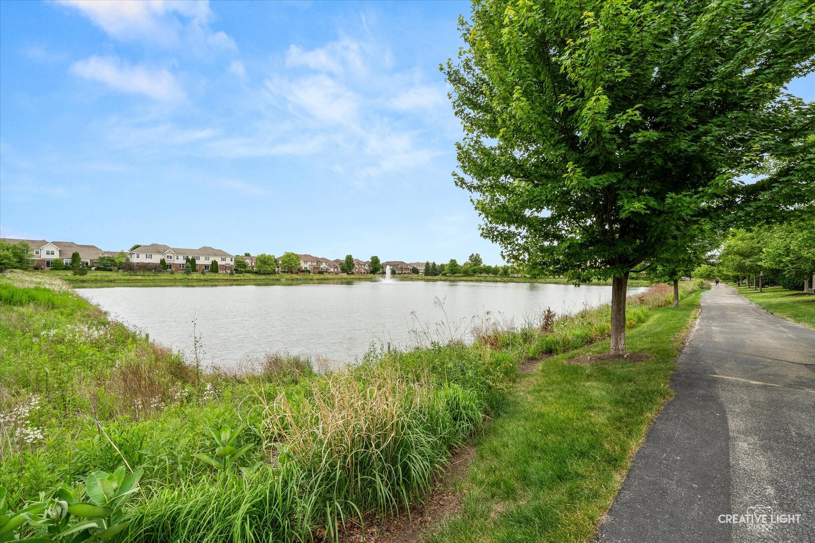 2951 Henley Lane, Naperville, IL 60540
