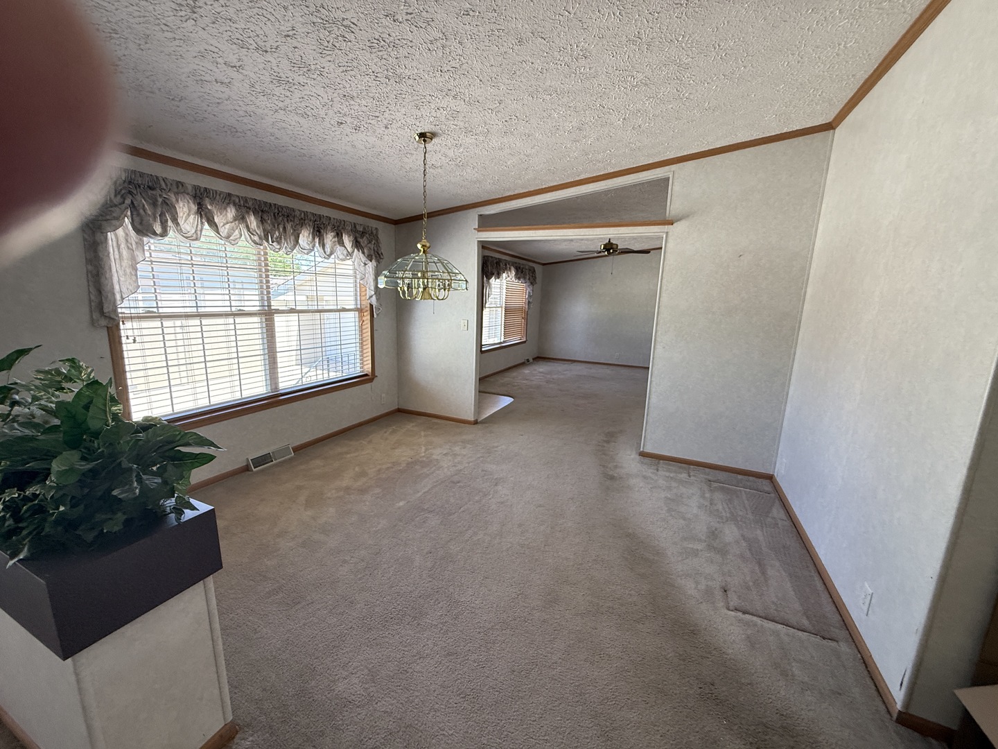 923 Apple Lane, Manteno, IL 60950