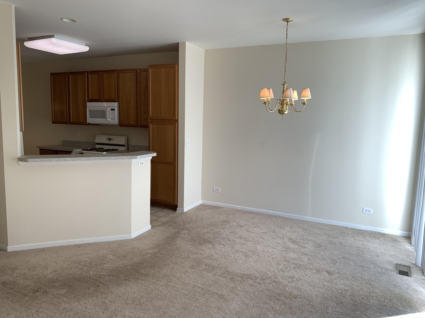 4335 Shooting Star Drive #16-3, Island Lake, IL 60042