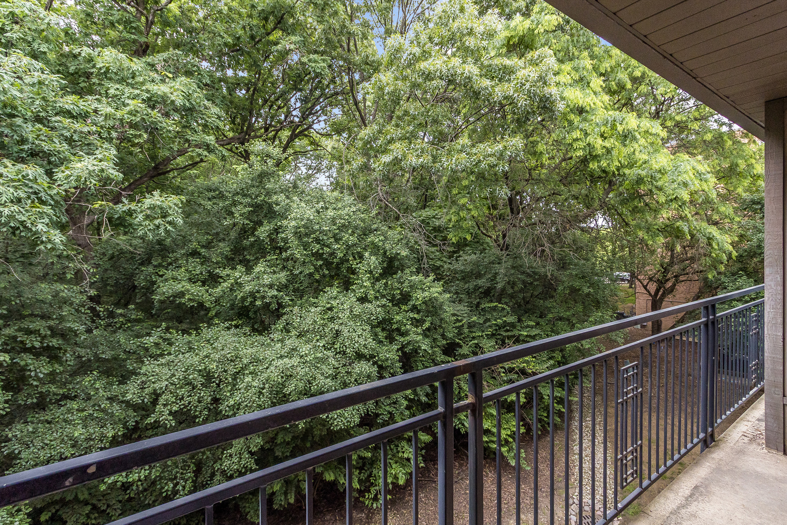 5830 Oakwood Drive #3K, Lisle, IL 60532