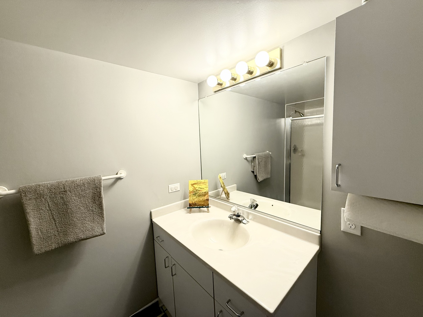113 Chatsworth Circle, Schaumburg, IL 60194
