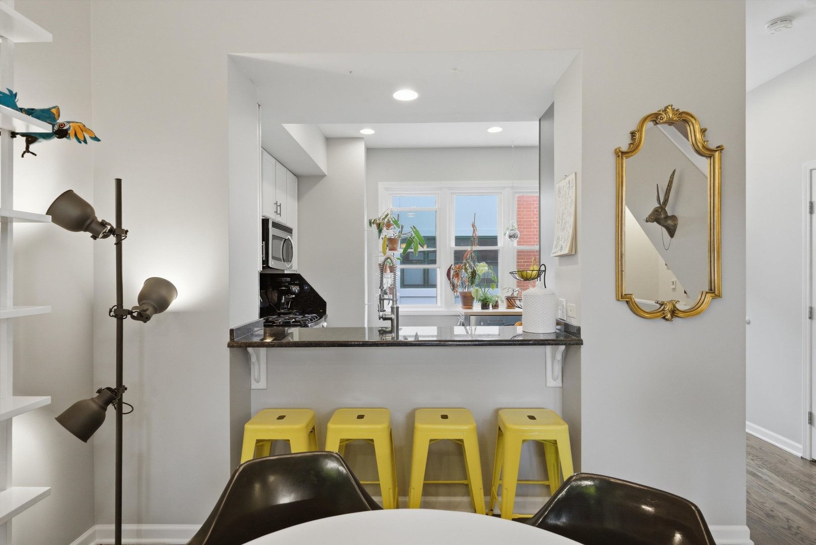 5844 N Hermitage Avenue #D, Chicago, IL 60660