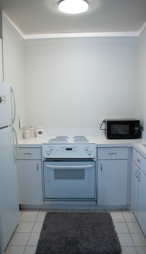 260 E Chestnut Street #409, Chicago, IL 60611