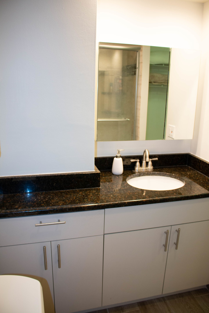 260 E Chestnut Street #409, Chicago, IL 60611