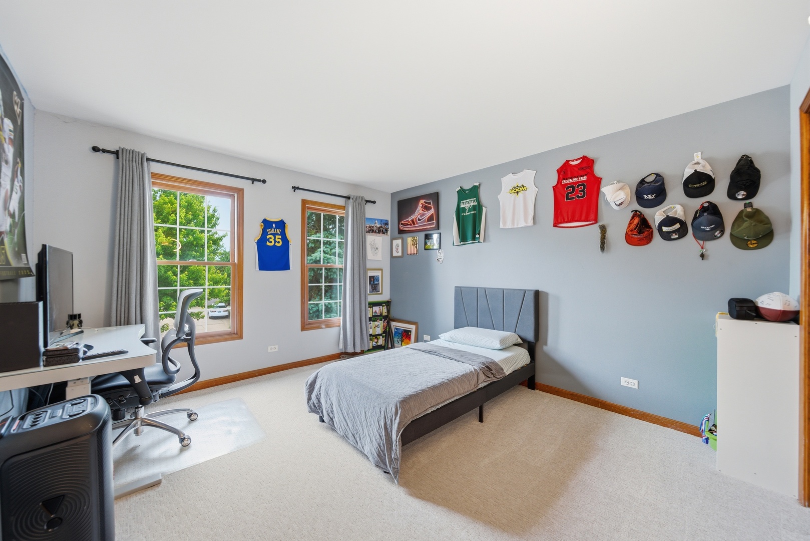 3423 Goldfinch Drive, Naperville, IL 60564