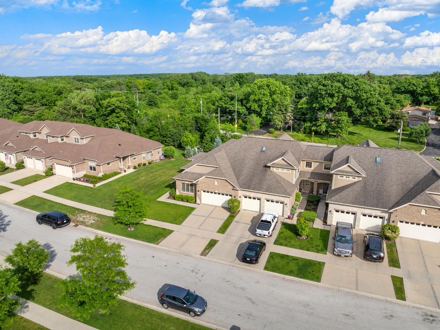 12876 Rosa Lane, Lemont, IL 60439
