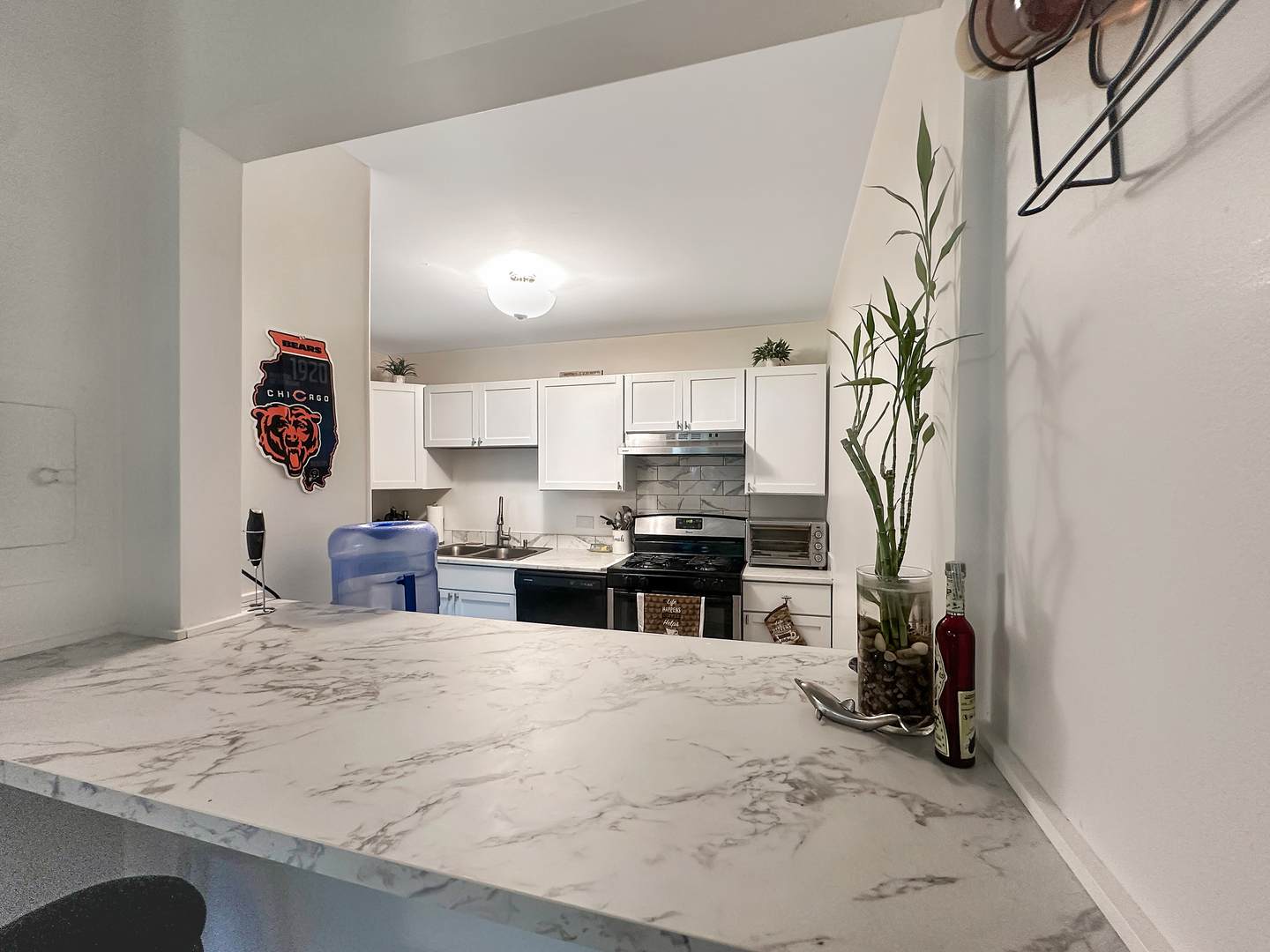 845 Miller Lane #101, Buffalo Grove, IL 60089