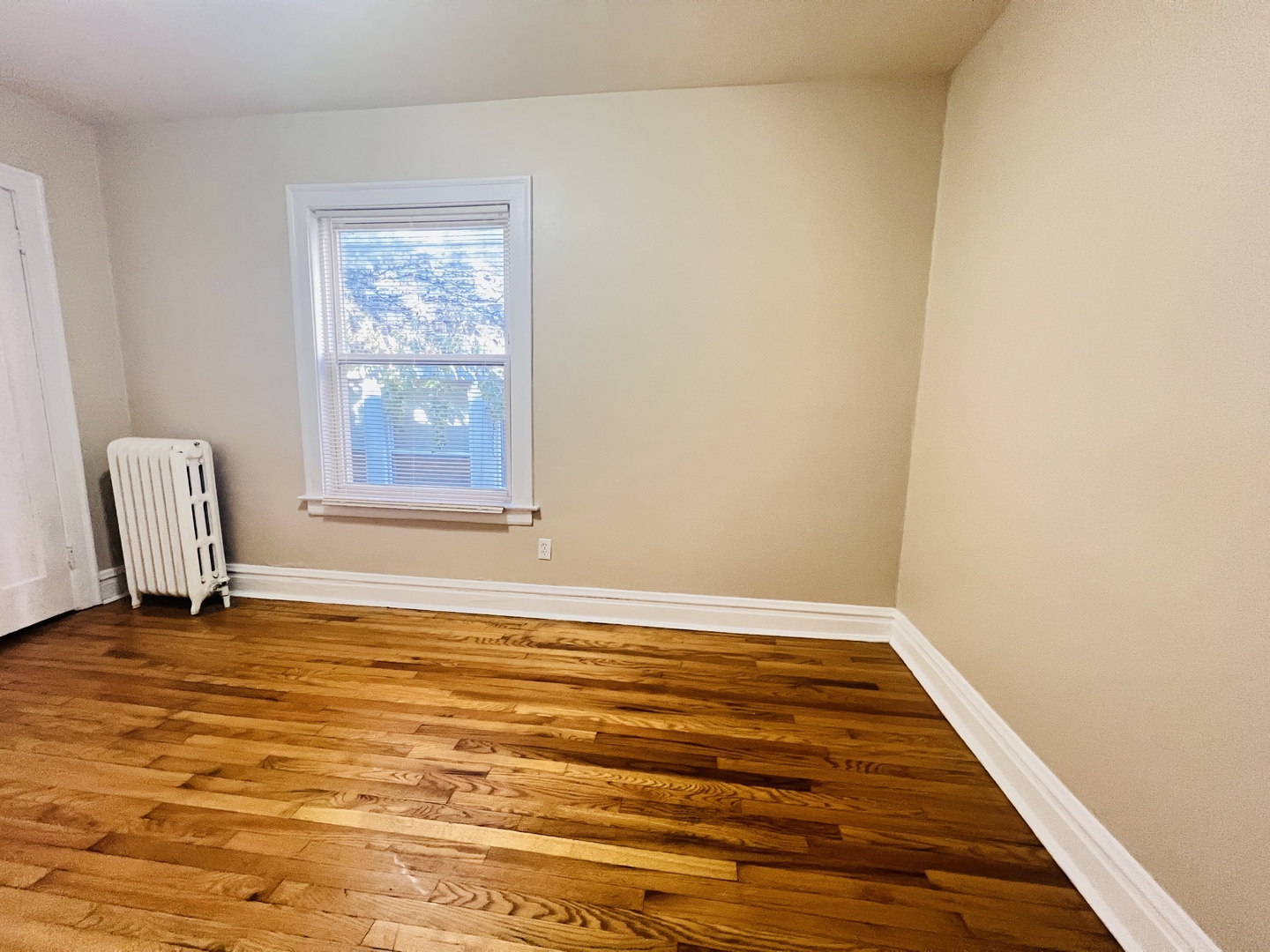 1732 W Wallen Avenue, Chicago, IL 60626