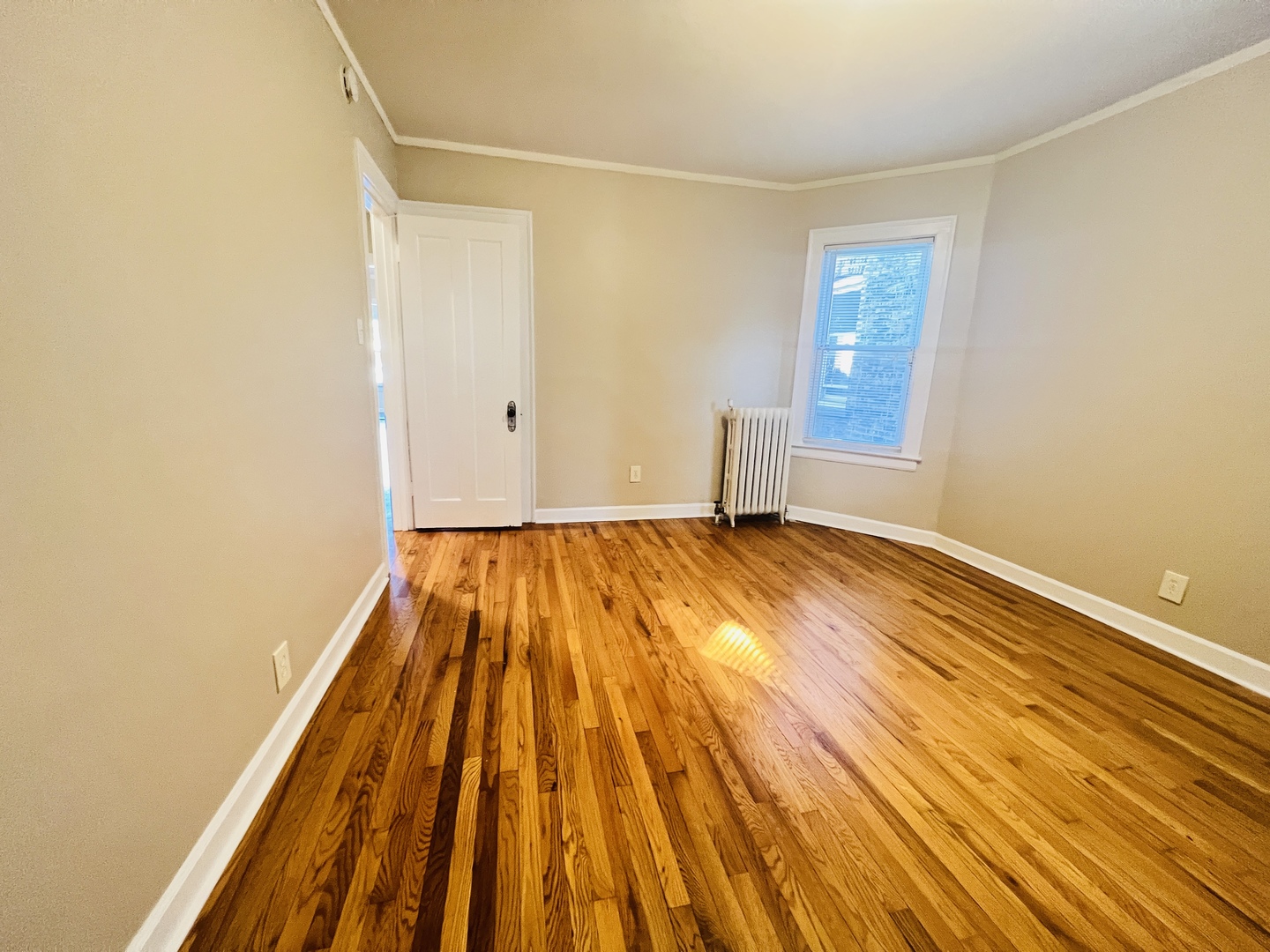 1732 W Wallen Avenue, Chicago, IL 60626