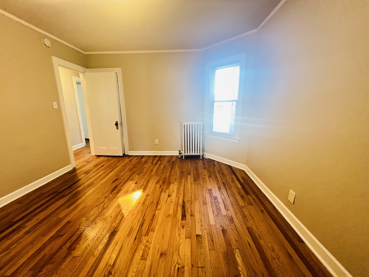 1732 W Wallen Avenue, Chicago, IL 60626