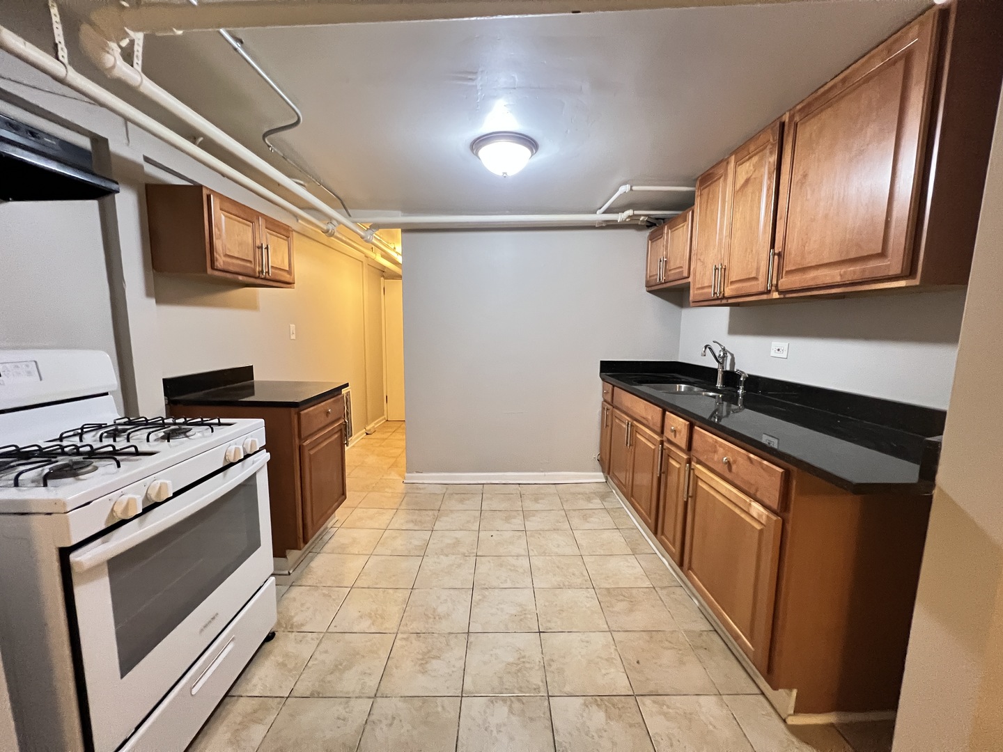 1732 W Wallen Avenue, Chicago, IL 60626