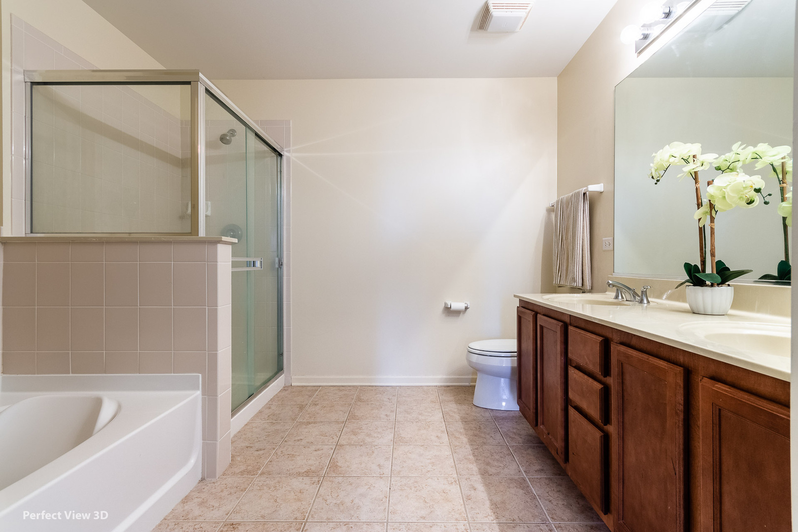 919 Violet Drive #919, Hanover Park, IL 60133