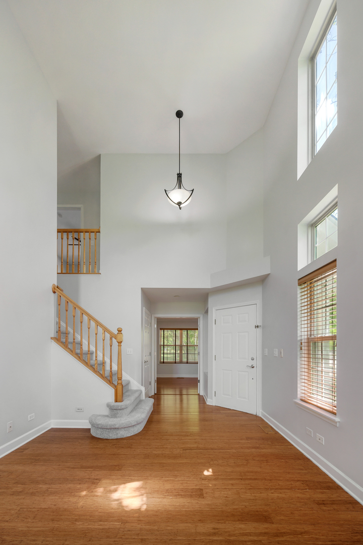 2910 BELLE Lane #2910, Schaumburg, IL 60193