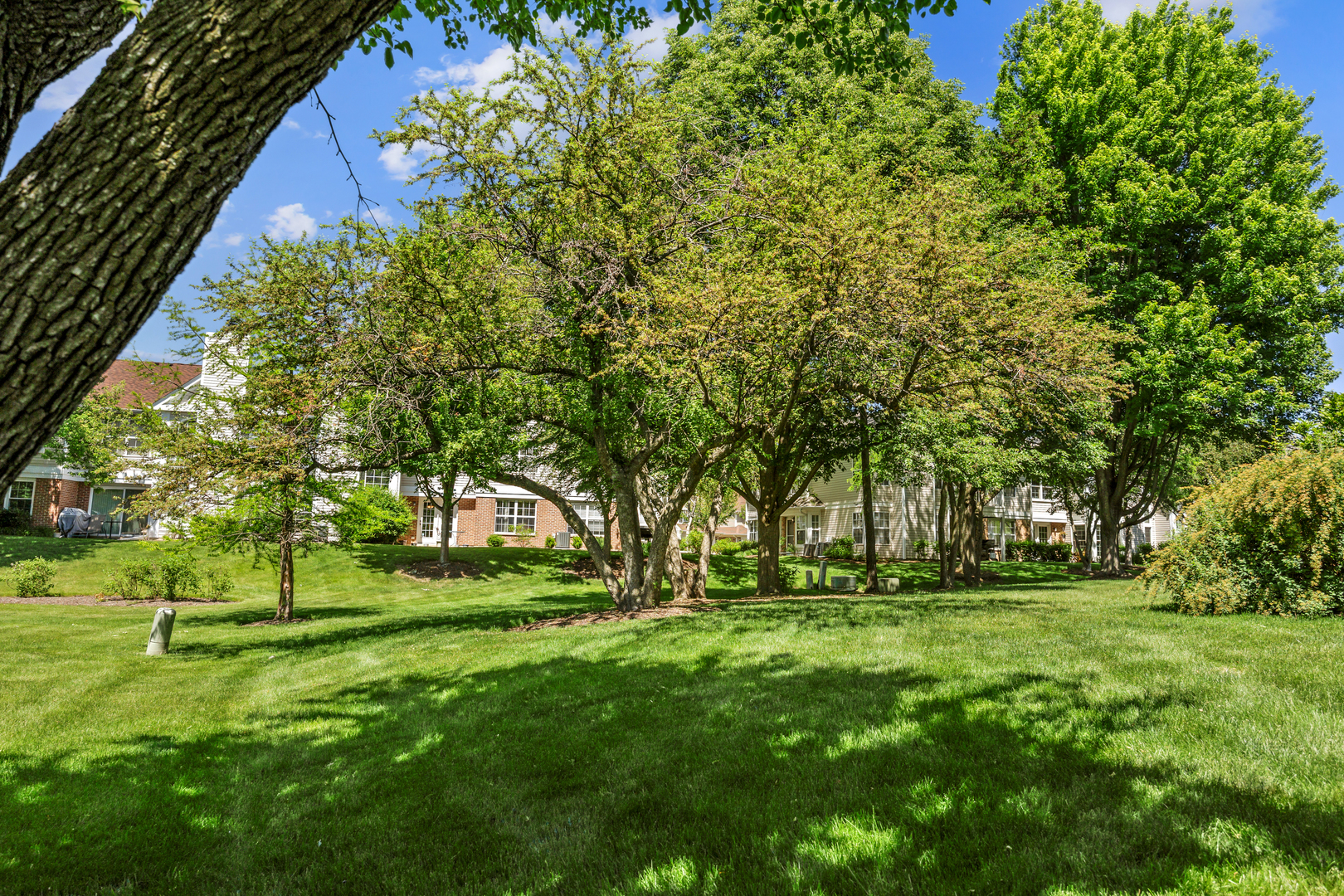 2910 BELLE Lane #2910, Schaumburg, IL 60193