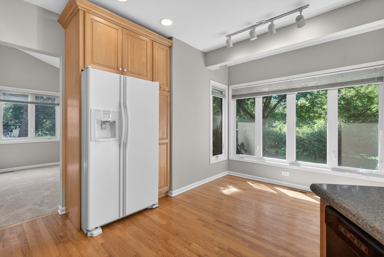 226 Ketten Drive, Naperville, IL 60563