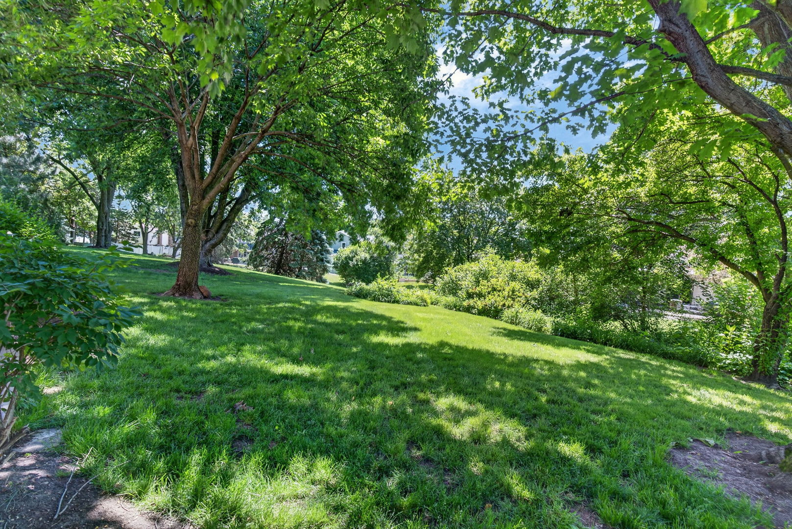 226 Ketten Drive, Naperville, IL 60563