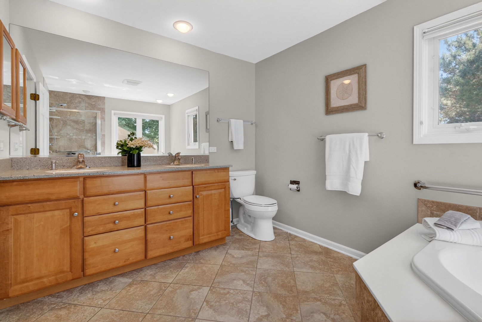 226 Ketten Drive, Naperville, IL 60563