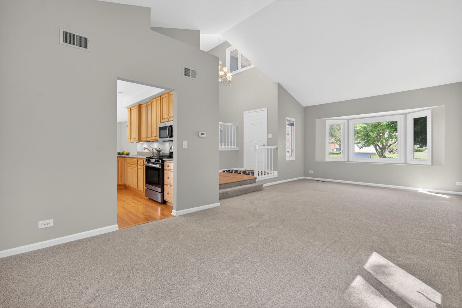 226 Ketten Drive, Naperville, IL 60563