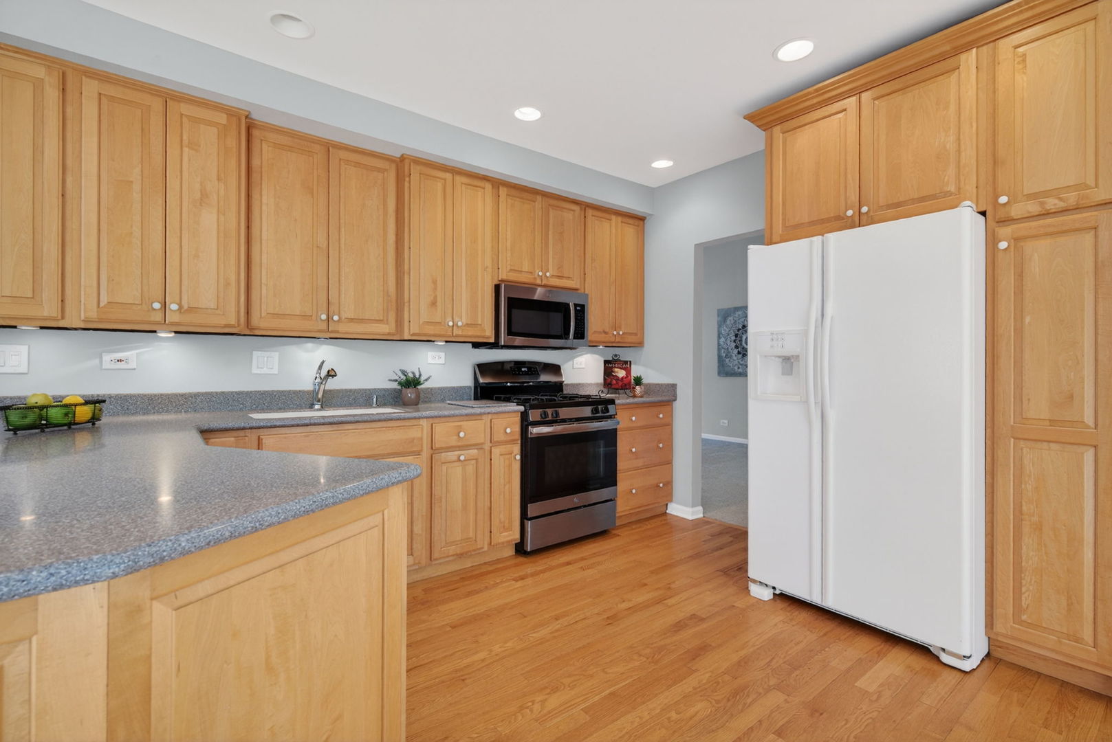 226 Ketten Drive, Naperville, IL 60563
