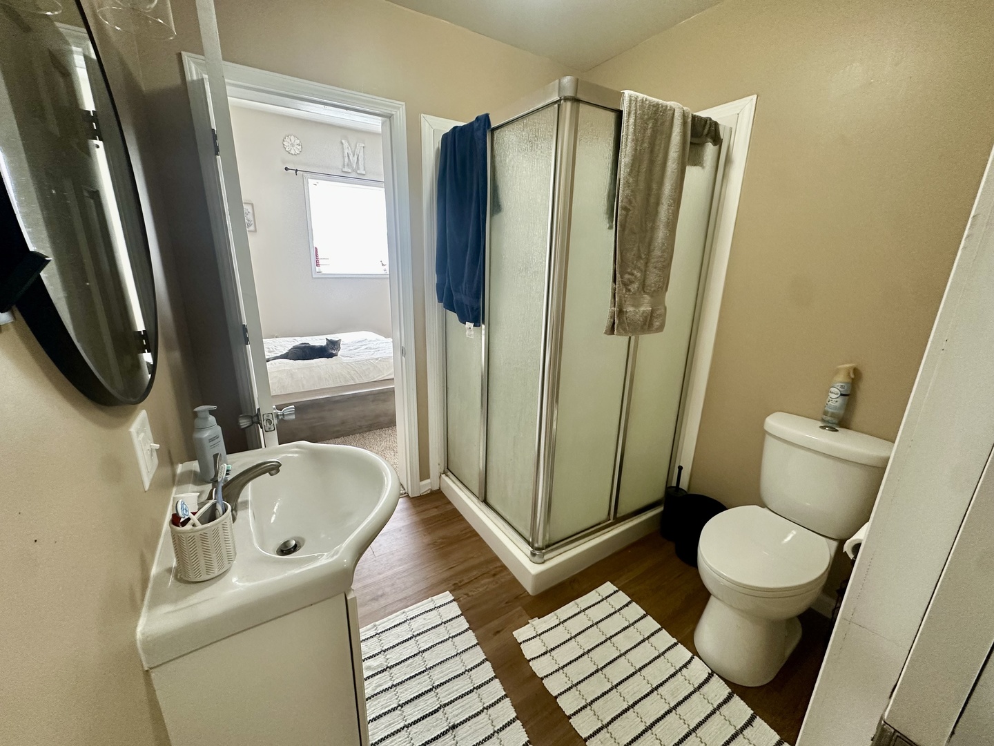 308 W Green Street, Farmer City, IL 61842