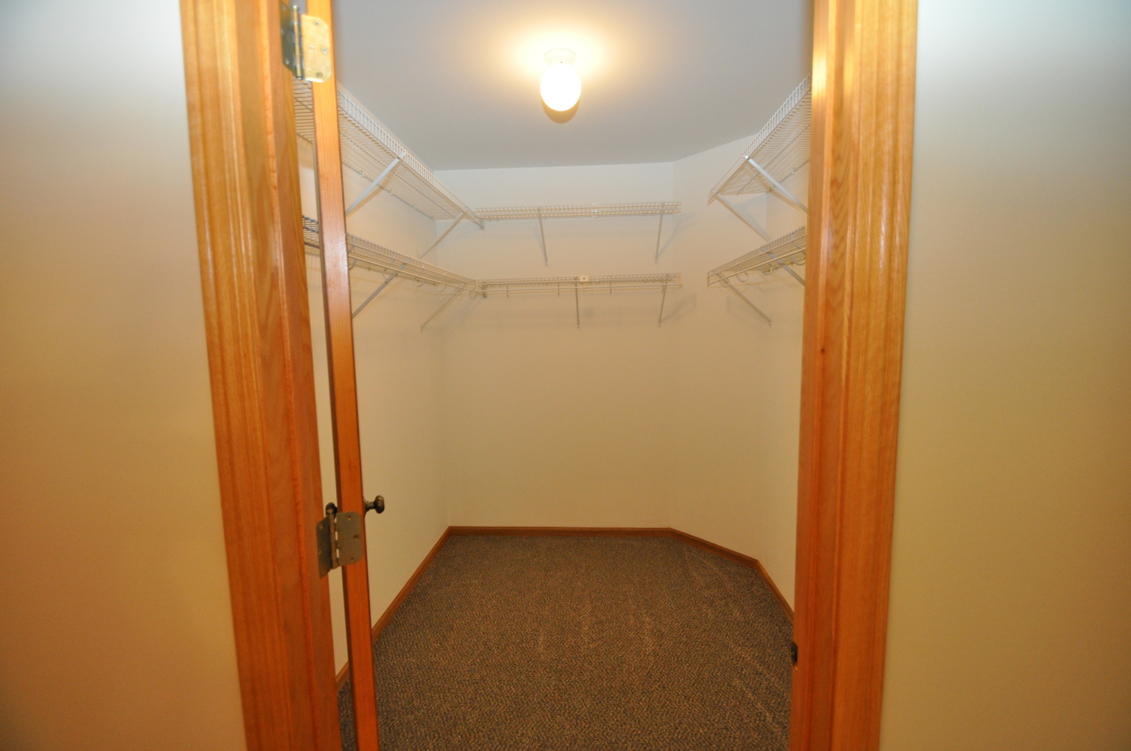 8740 Ballycastle Lane, Tinley Park, IL 60487