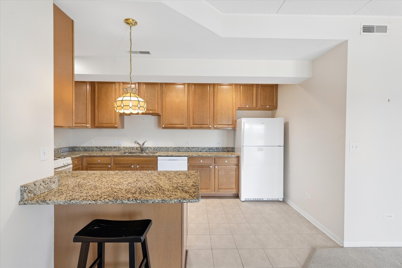 8822 BROOKFIELD Avenue #405, Brookfield, IL 60513
