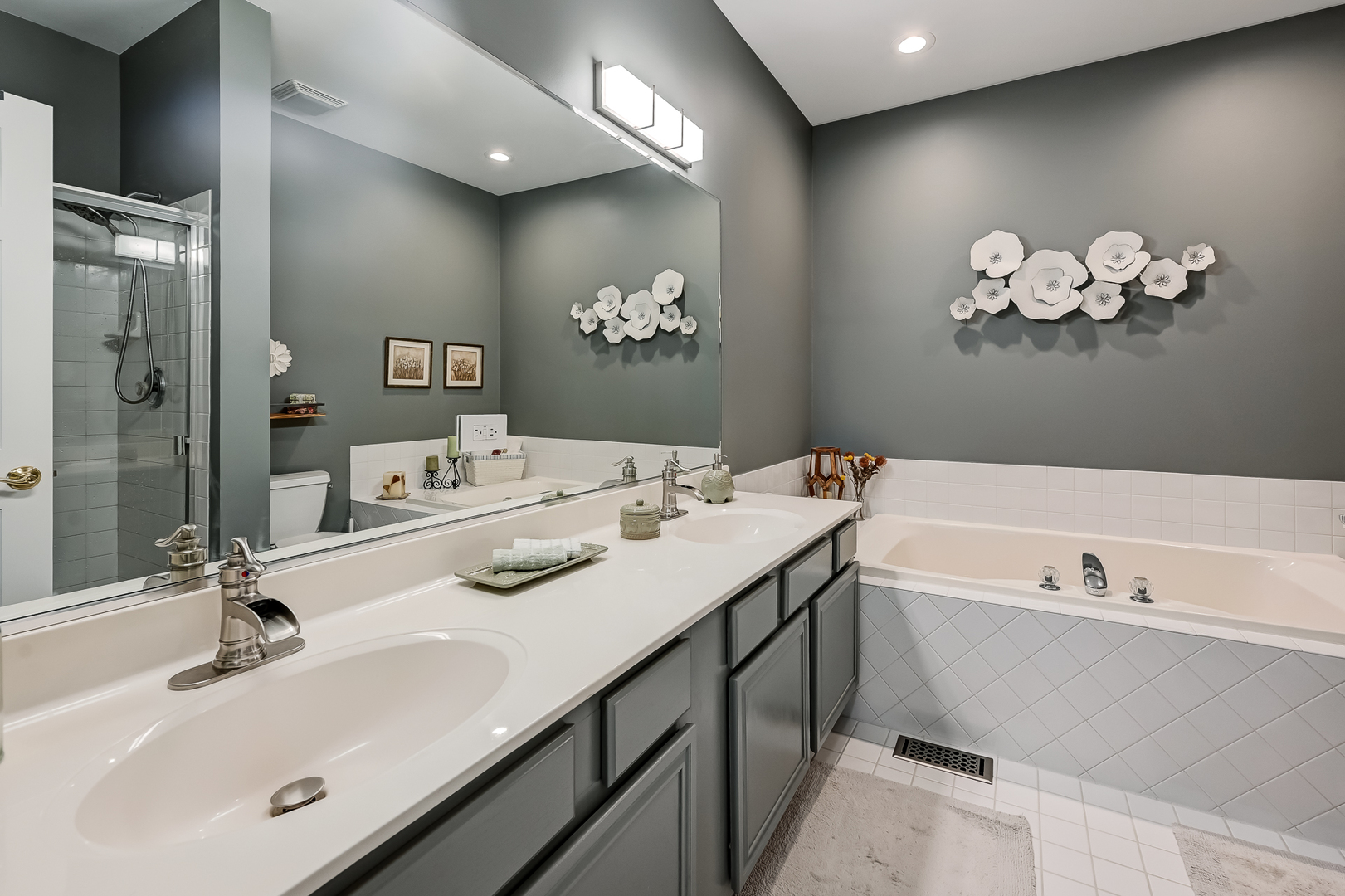 4256 Stableford Lane, Naperville, IL 60564