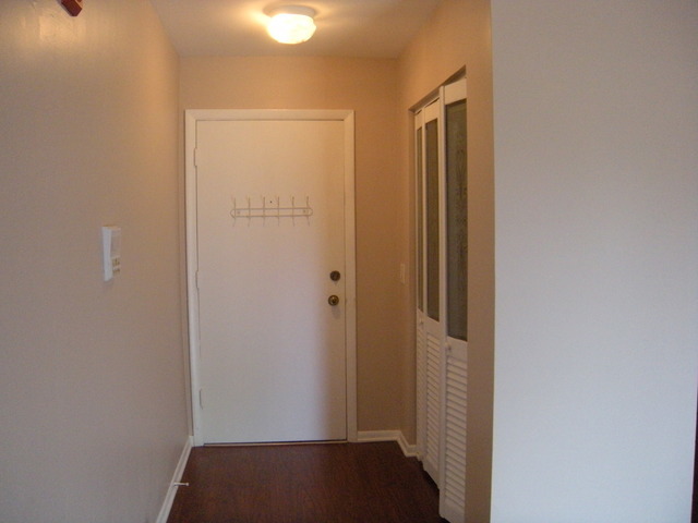 2343 Ogden Avenue #11, Downers Grove, IL 60515